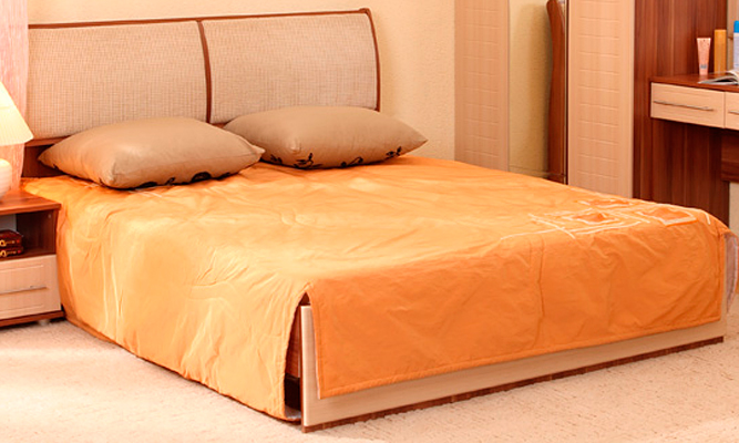 Кровать "Олеся" на 1600 (с мягким изголовьем) М17