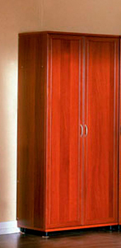 Шкаф для одежды "Ника-Люкс" мод. 21