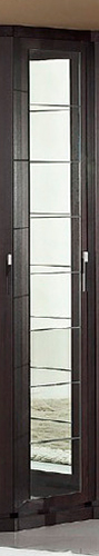 Шкаф 1-дверный с зеркалом "Петра"